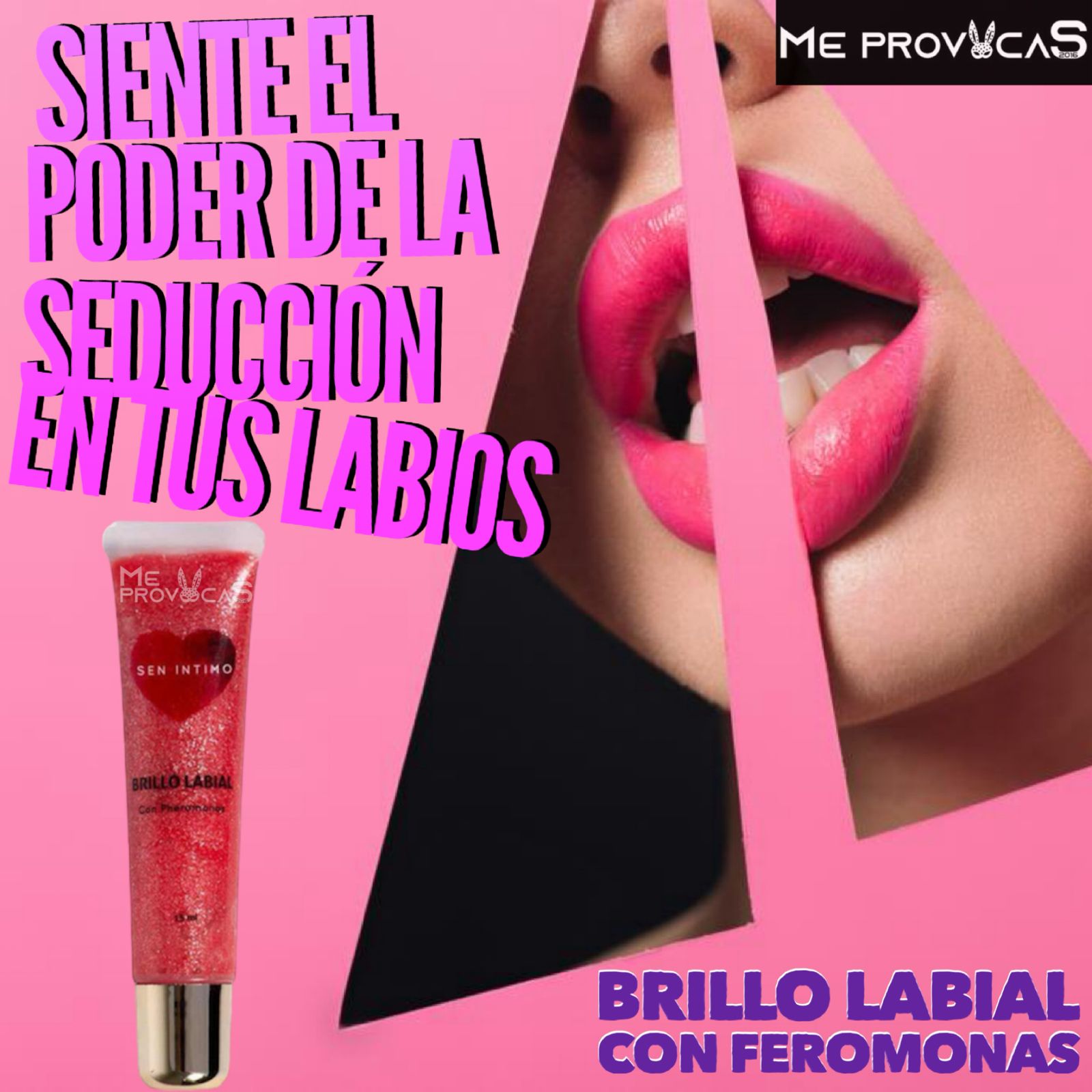 WhatsApp Image 2025-10-10 at 12.27.00 PM